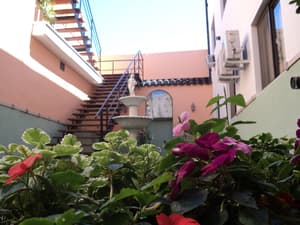 thumbnail: Garden