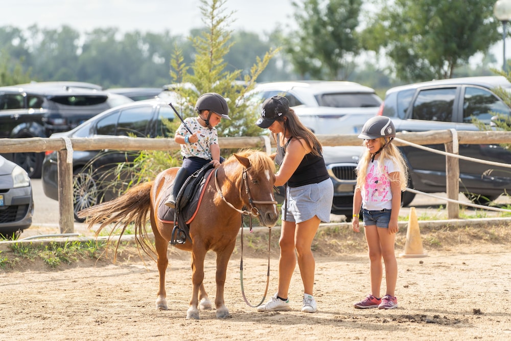 Restaurant-cafeteria