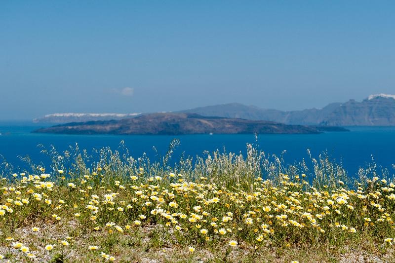 General view
