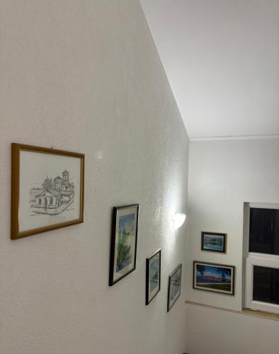 791038669.jpg