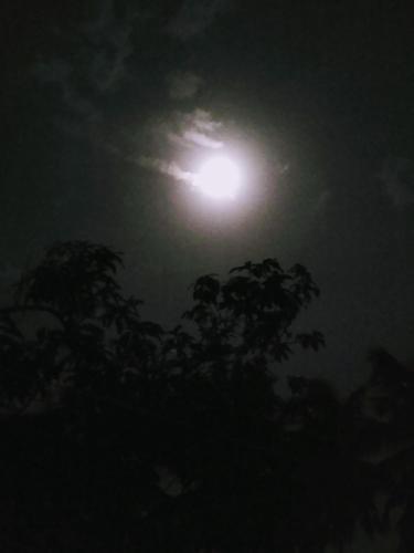 602824960.jpg