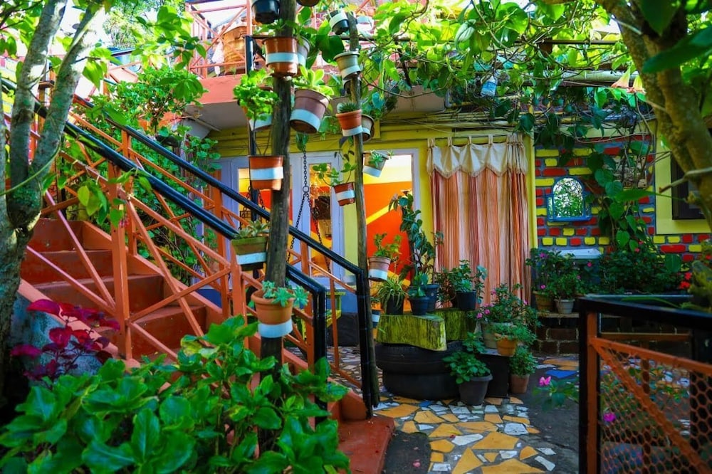 Garden view