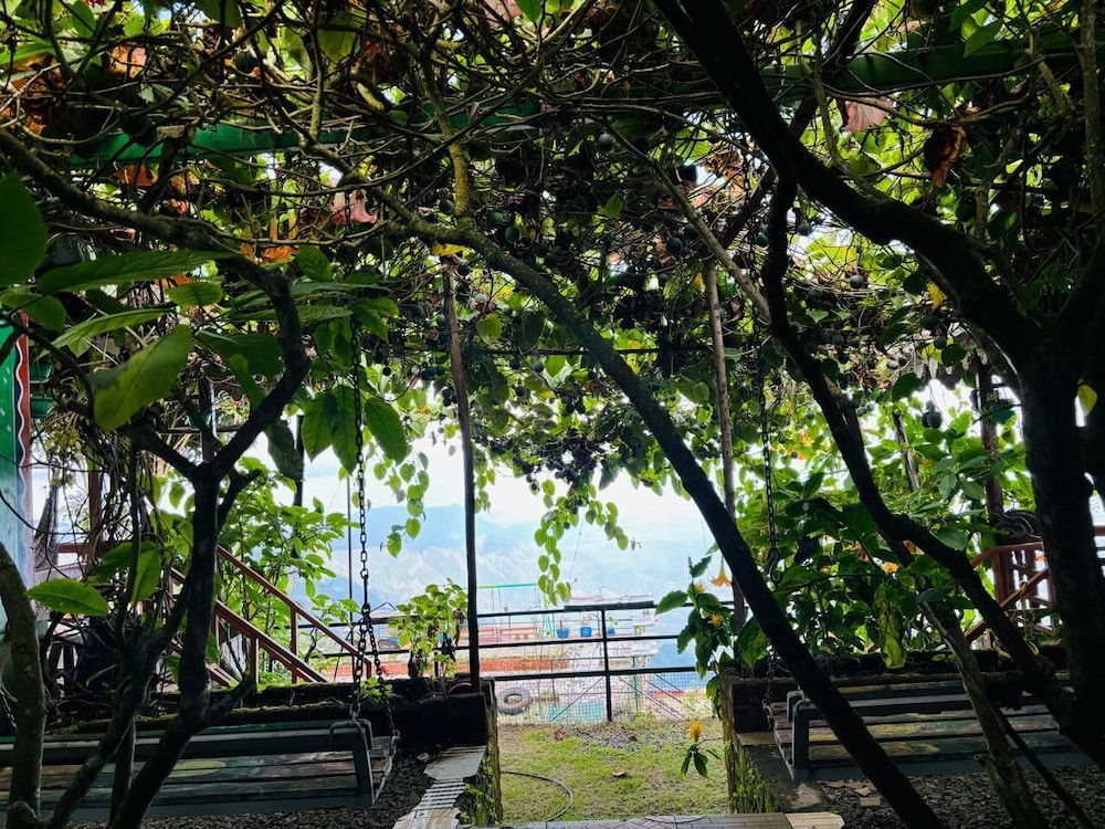 Garden view