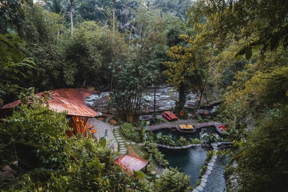 Natural pool