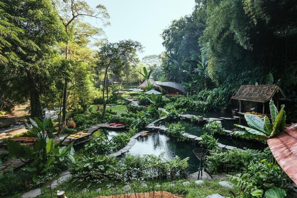 Natural pool