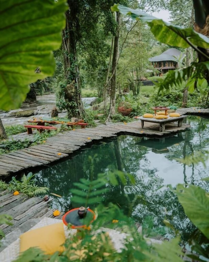 Natural pool