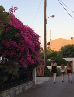 thumbnail: Property grounds