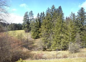 thumbnail: View from property
