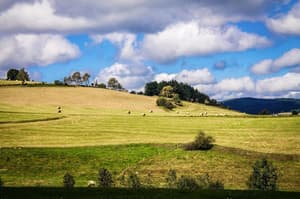 thumbnail: View from property