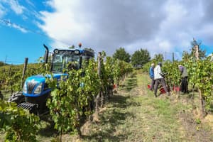 thumbnail: Winery