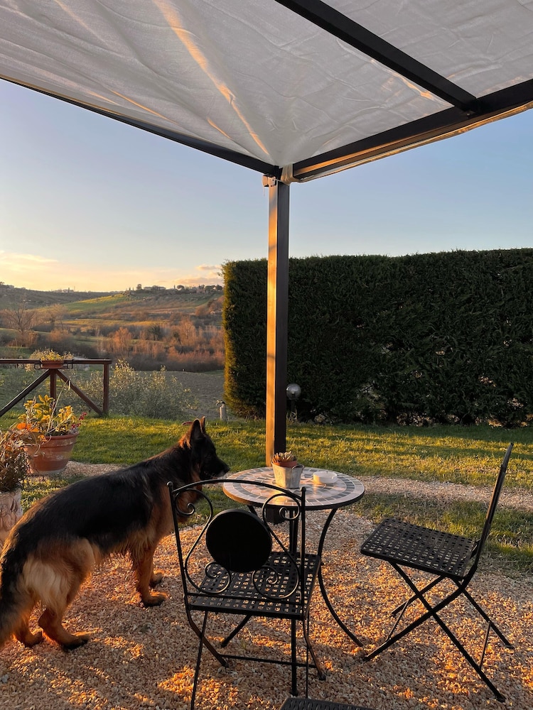 Garden view