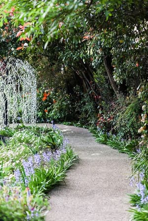 thumbnail: Garden