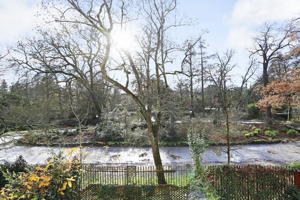 Park view