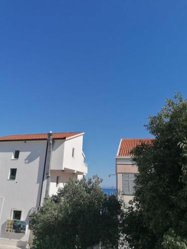 696027181.jpg