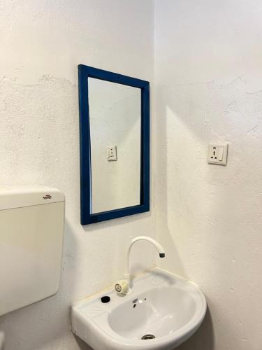 485644919.jpg