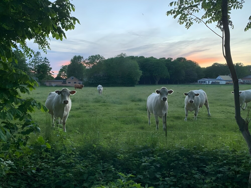 Land view from property