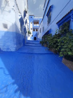 aline hostel