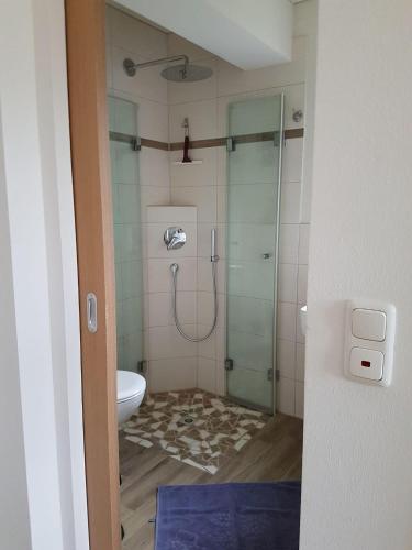 475298158.jpg