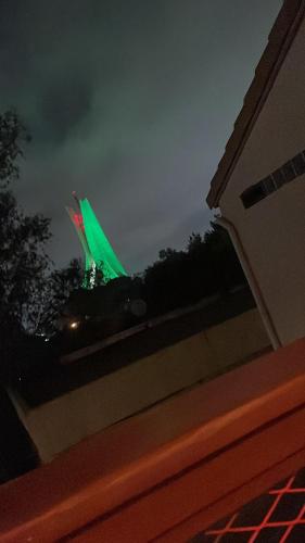 593877899.jpg