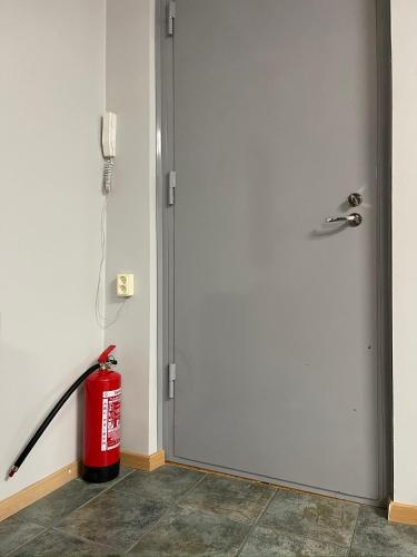 725879598.jpg