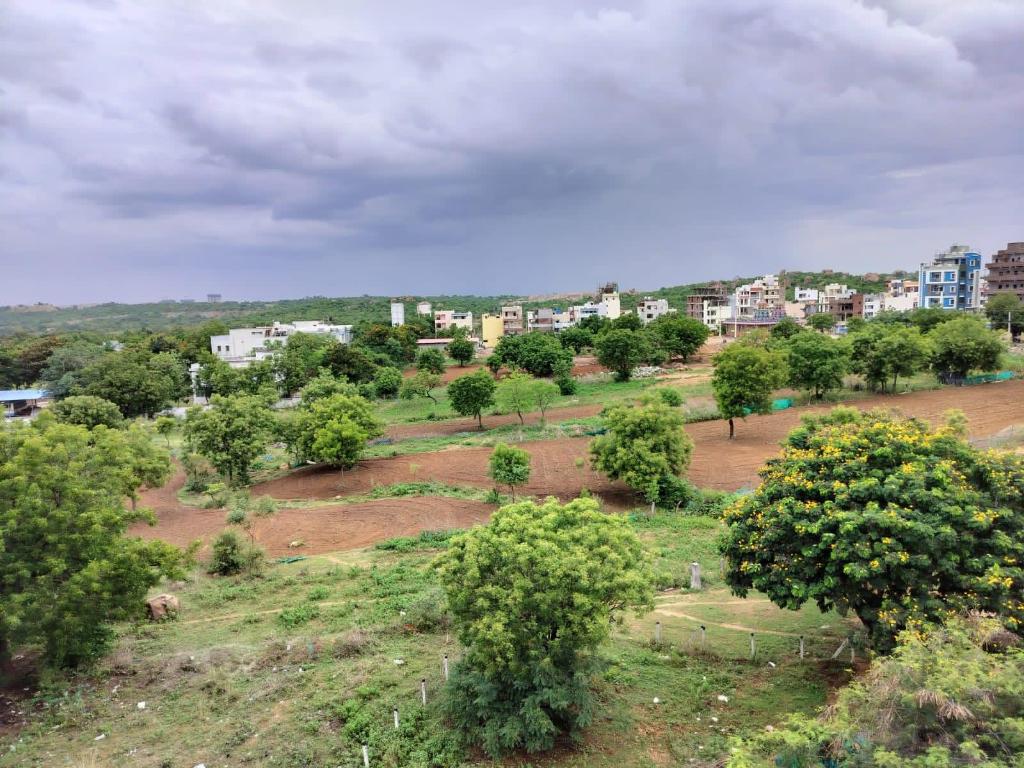 a6d26a95b410a5f98dd708ed0a3b5491.jpg