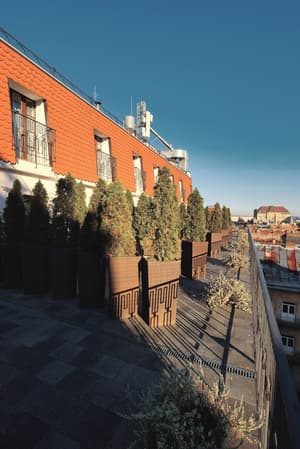 thumbnail: Terrace/patio
