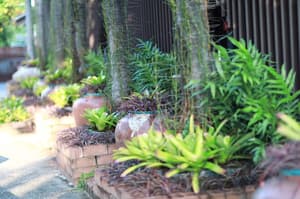 thumbnail: Garden