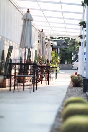 thumbnail: Garden