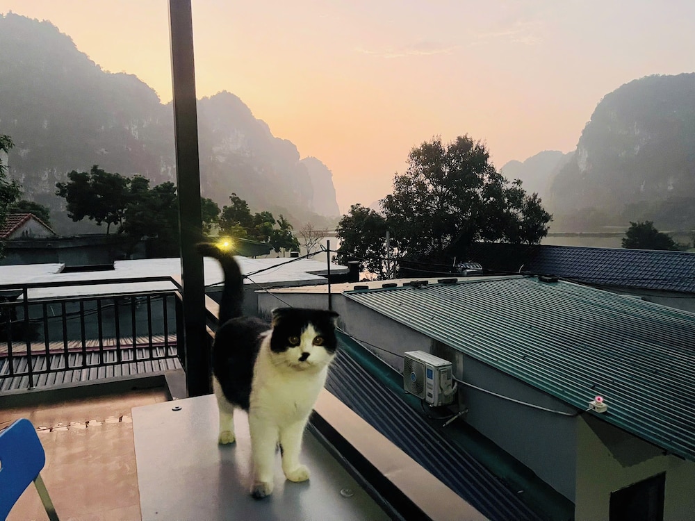 Pet-friendly