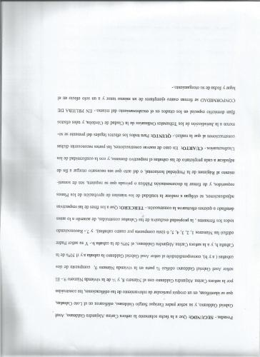 54179570.jpg
