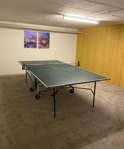 300381571.jpg