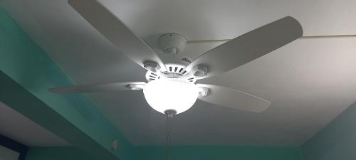 465276136.jpg