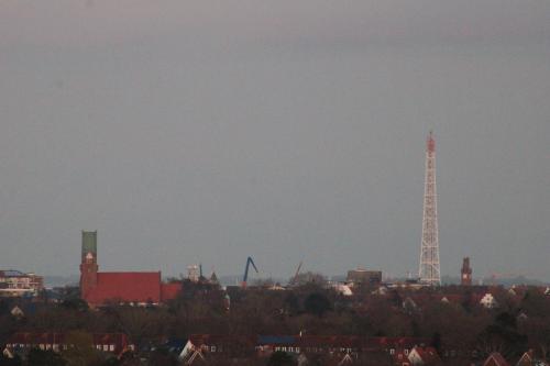 449416545.jpg