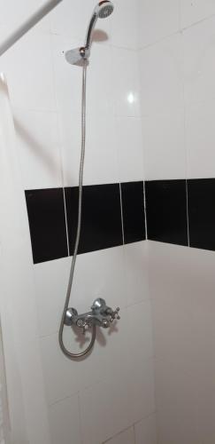 879834270.jpg
