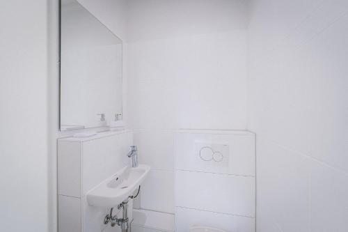808556460.jpg