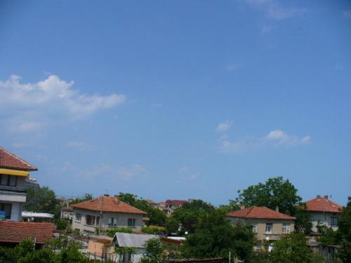 27810459.jpg
