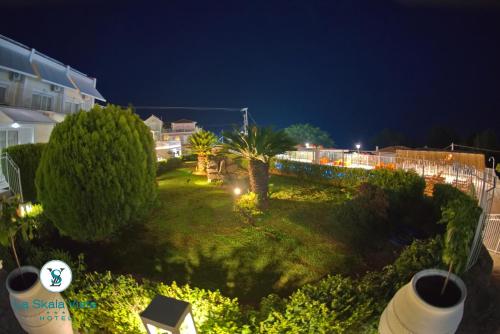 703036384.jpg