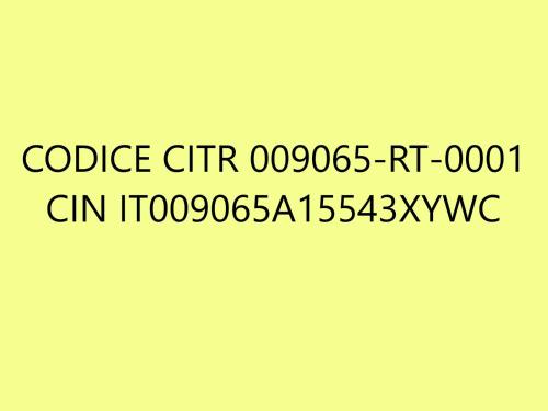 595745964.jpg