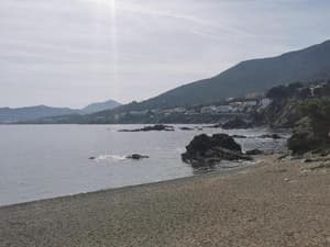 thumbnail: 715667722.jpg