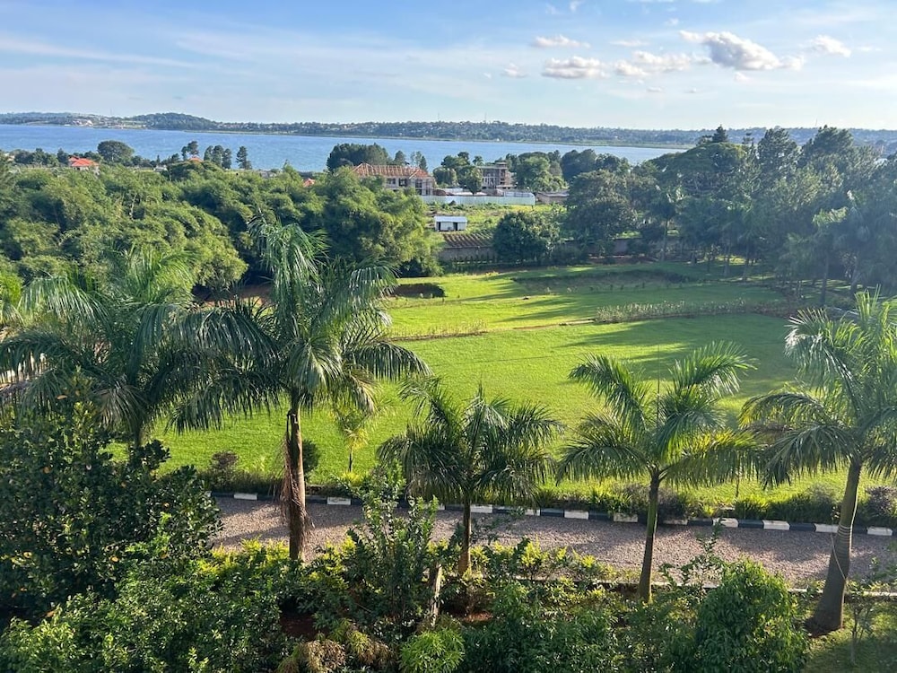 Lake view