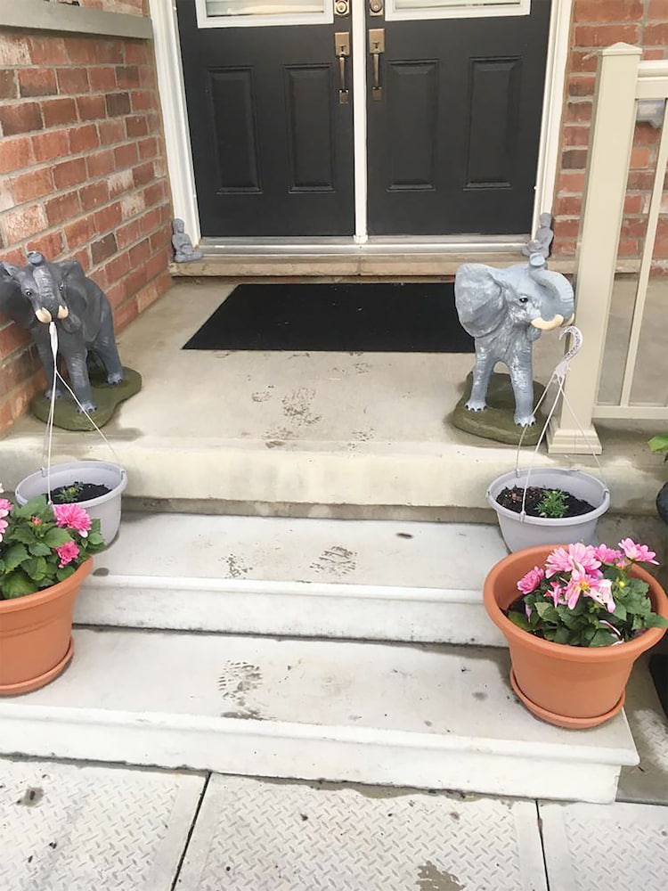 Front of property
