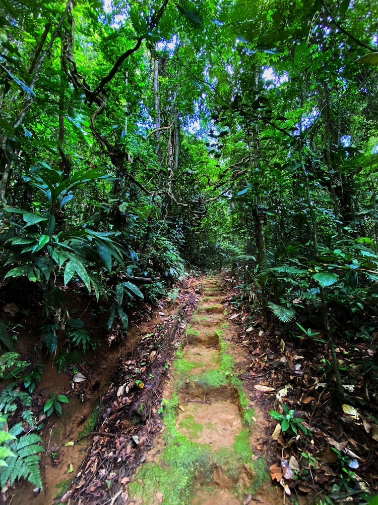 Hiking
