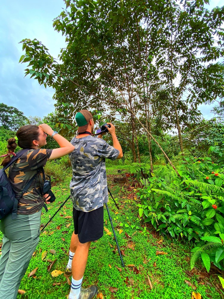 Ecotours