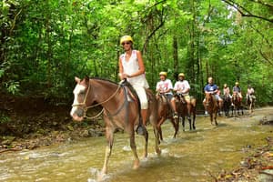 thumbnail: Horseback riding