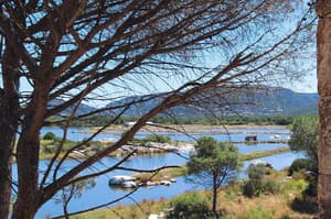 thumbnail: Water view