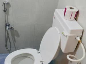 thumbnail: 174904655.jpg