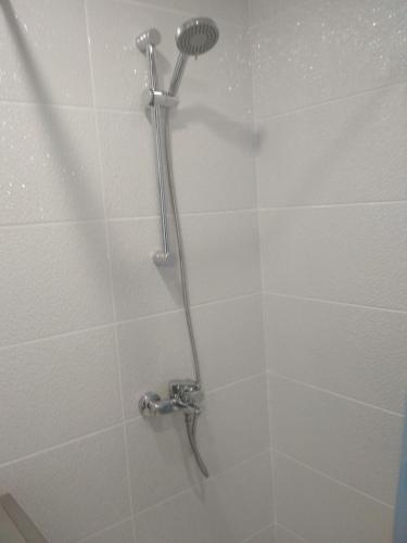 209596191.jpg