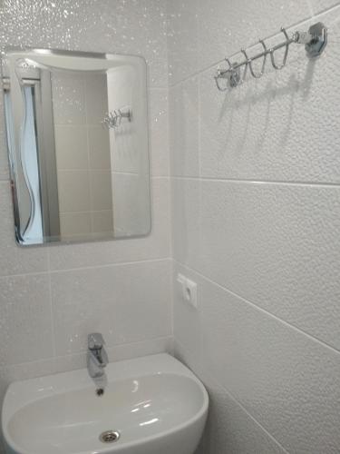 209596196.jpg