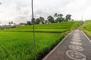 thumbnail: Terrace/patio