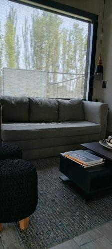 419388312.jpg